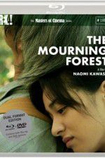 Watch The Mourning Forest Vodly