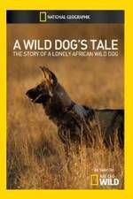 Watch A Wild Dogs Tale Vodly