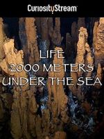 Watch Life 2,000 Meters Under the Sea Vodly