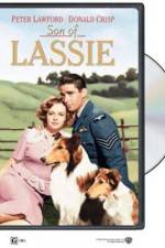 Watch Son of Lassie Vodly