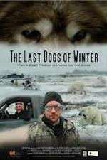 Watch The Last Dogs of Winter Vodly