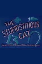 Watch The Stupidstitious Cat Vodly