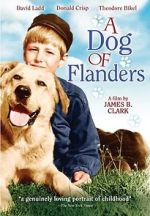 Watch A Dog of Flanders Vodly