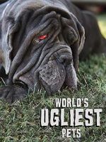 Watch World\'s Ugliest Pets Vodly