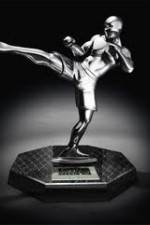 Watch World MMA Awards 2010 Vodly