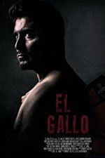 Watch El Gallo Vodly