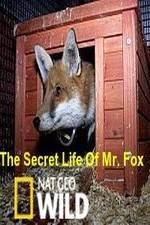 Watch The Secret Life of Mr. Fox Vodly