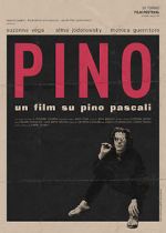 Watch Pino Vodly