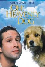 Watch Oh Heavenly Dog Vodly