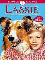 Watch Lassie: A New Beginning Vodly