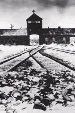 Watch AUSCHWITZ: CORRUPTION Vodly