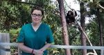 Watch Sue Perkins and the Chimp Sanctuary Vodly