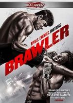 Watch Brawler Vodly