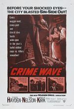 Watch Crime Wave Vodly