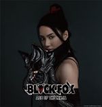 Watch Black Fox: Age of the Ninja Vodly