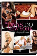 Watch WWE Divas Do New York Vodly