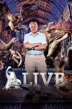 Watch David Attenborough\'s Natural History Museum Alive Vodly