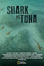 Watch Shark vs Tuna Vodly