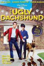 Watch The Ugly Dachshund Vodly
