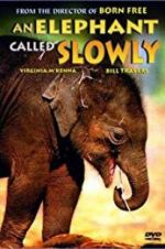 Watch An Elephant Called Slowly Vodly