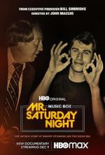 Watch Mr. Saturday Night Vodly