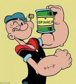 Watch Popeye the Sailor Vodly