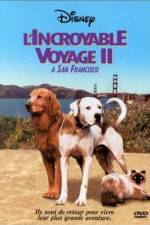 Watch Homeward Bound II Lost in San Francisco Vodly