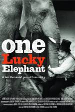 Watch En lycklig elefant Vodly