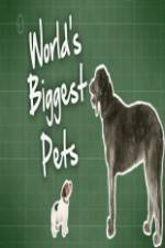 Watch World's Biggest Pets Vodly