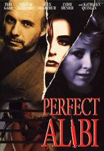 Watch Perfect Alibi Vodly