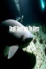 Watch National Geographic Wild Sixgill Shark Into The Abyss Vodly