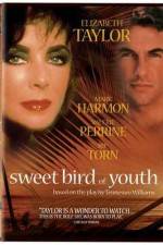 Watch Sweet Bird of Youth Vodly