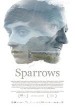 Watch Sparrows Vodly