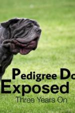 Watch Pedigree Dogs Exposed, Three Years On Vodly