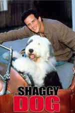 Watch The Shaggy Dog Vodly