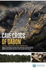 Watch Cave Crocs of Gabon Vodly