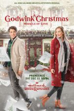 Watch A Godwink Christmas: Miracle of Love Vodly