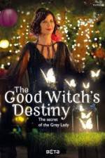 Watch The Good Witchs Destiny Vodly