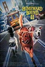 Watch Homeward Bound II: Lost in San Francisco Vodly