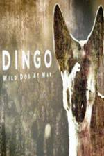 Watch Dingo Wild Dog at War Vodly