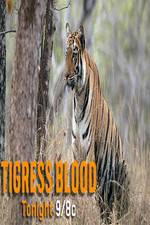 Watch Discovery Channel-Tigress Blood Vodly