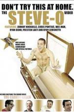 Watch Don't Try This at Home The Steve-O Video Vodly