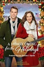 Watch A Homecoming for the Holidays Vodly