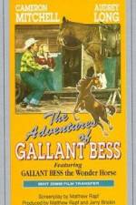 Watch Adventures of Gallant Bess Vodly