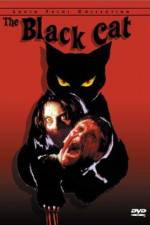 Watch Black Cat Vodly