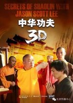 Watch Secrets of Shaolin with Jason Scott Lee Vodly