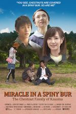 Watch Miracle in Kasama Vodly