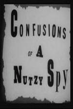 Watch Confusions of a Nutzy Spy Vodly