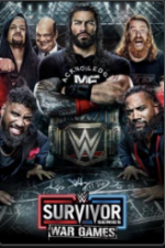 Watch WWE Survivor Series WarGames Vodly