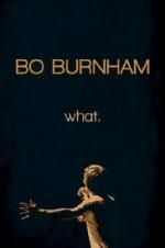 Watch Bo Burnham: what. Vodly